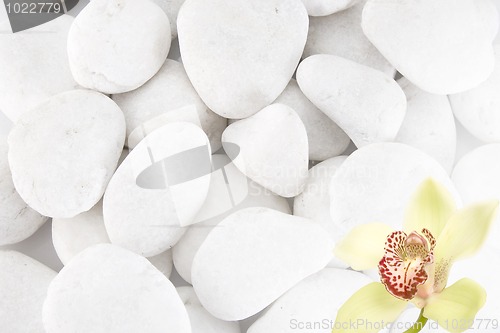 Image of white stones