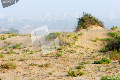 Image of Fog in the Israel