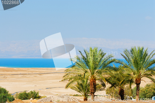 Image of Dead Sea