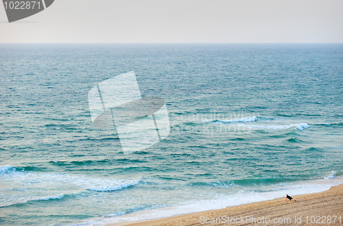 Image of The sea at sunset