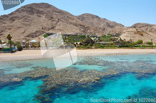 Image of Coral reef 