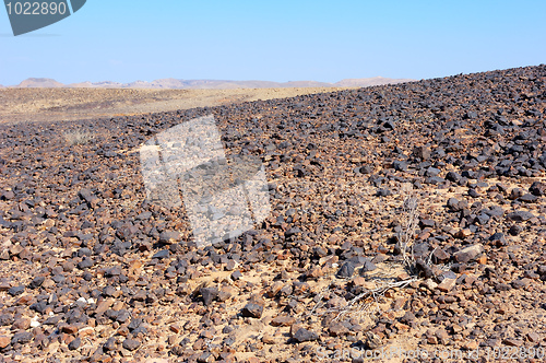 Image of Unique stones of Makhtesh Ramon