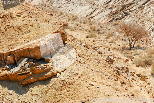 Image of Stones of Makhtesh Ramon