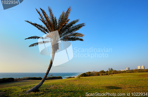 Image of Sunset over the sea