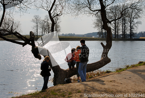 Image of Outdoor pond