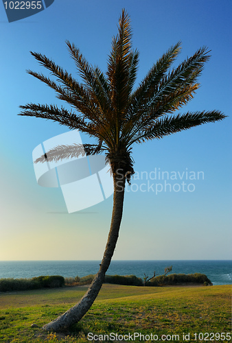 Image of Sunset over the sea