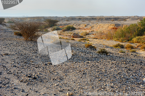 Image of Arava desert in the first rays of the sun
