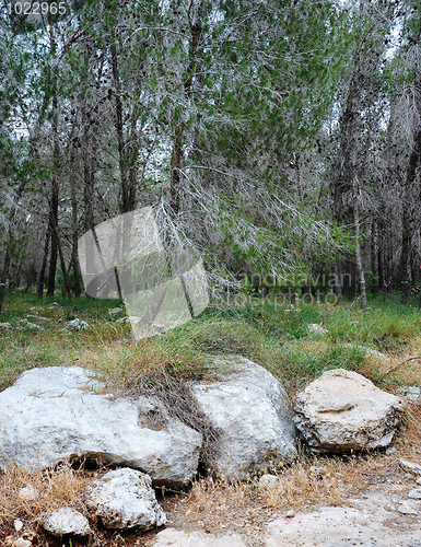 Image of Landscape Israel