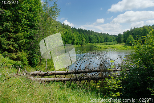 Image of Summer on the river