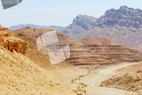 Image of Stones of Makhtesh Ramon