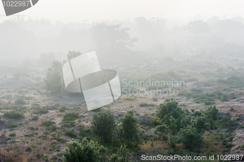 Image of Fog in the Israel