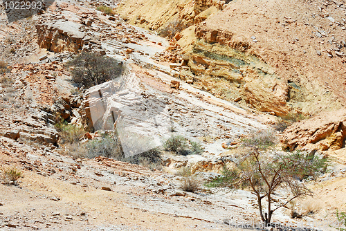 Image of Multicolored stones of Makhtesh Ramon