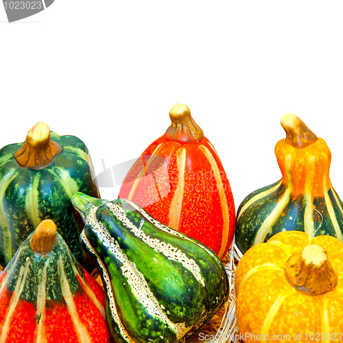 Image of Gourds