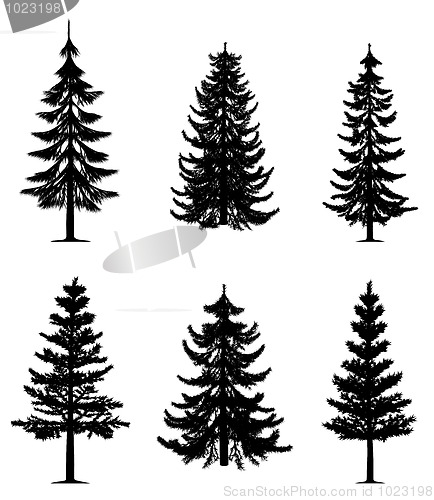 Image of Pine trees collection