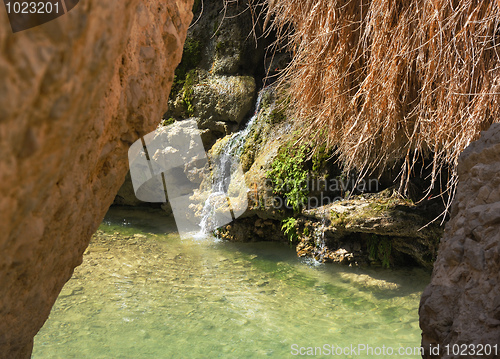 Image of Ein Gedi Nature Reserve off the coast of the Dead Sea