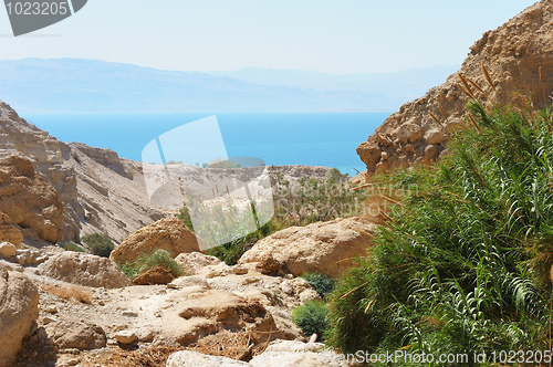 Image of Ein Gedi Nature Reserve off the coast of the Dead Sea