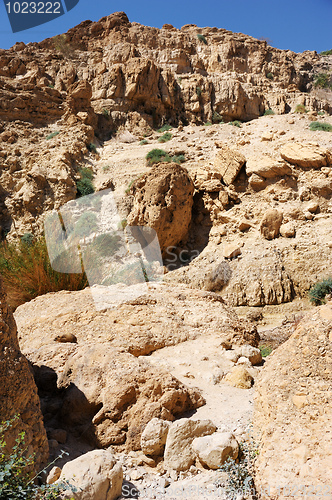 Image of Ein Gedi Nature Reserve off the coast of the Dead Sea