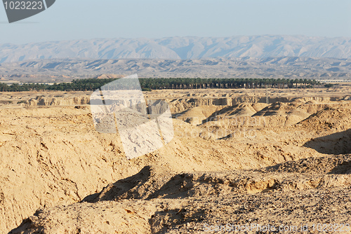 Image of Arava desert in the first rays of the sun