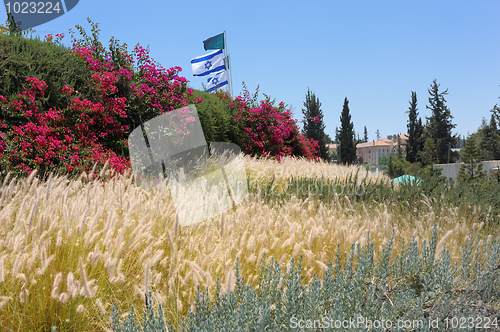 Image of Neighborhood the monastery Latrun 