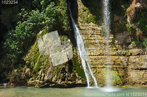 Image of Ein Gedi Nature Reserve off the coast of the Dead Sea