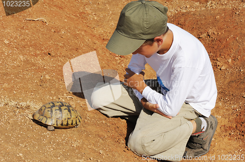 Image of Boy and Turtle 