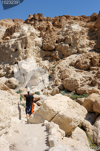 Image of Ein Gedi Nature Reserve off the coast of the Dead Sea