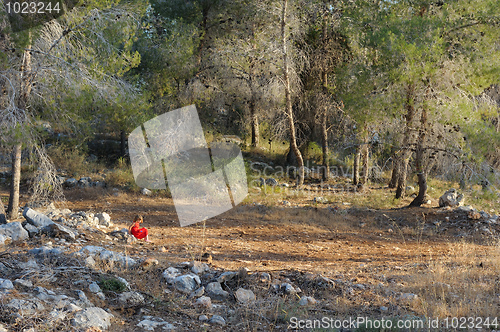 Image of Walking in the mountains