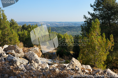 Image of Mountain forest in Israel