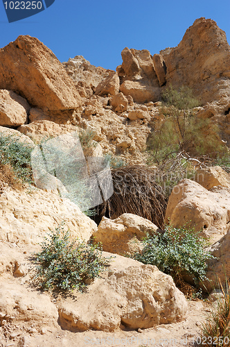 Image of Ein Gedi Nature Reserve off the coast of the Dead Sea