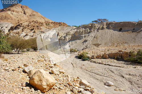 Image of Ein Gedi Nature Reserve off the coast of the Dead Sea