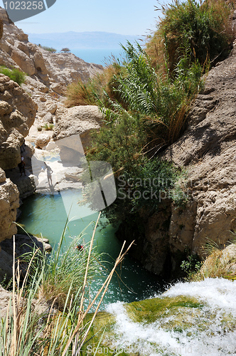 Image of Ein Gedi Nature Reserve off the coast of the Dead Sea