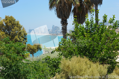 Image of Sea coast and the view of Tel Aviv