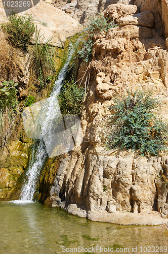 Image of Ein Gedi Nature Reserve off the coast of the Dead Sea