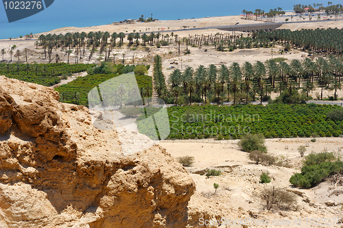 Image of View of the Dead Sea from the slopes of the Judean mountains.