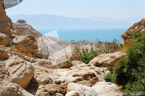 Image of Ein Gedi Nature Reserve off the coast of the Dead Sea