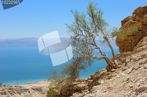 Image of View of the Dead Sea from the slopes of the Judean mountains.