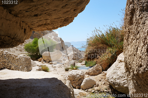 Image of Ein Gedi Nature Reserve off the coast of the Dead Sea