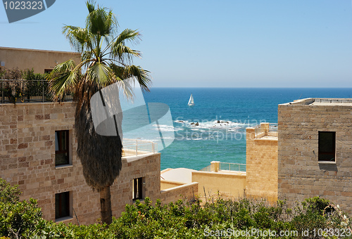 Image of Old Jaffa 