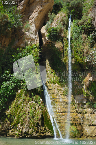 Image of Ein Gedi Nature Reserve off the coast of the Dead Sea