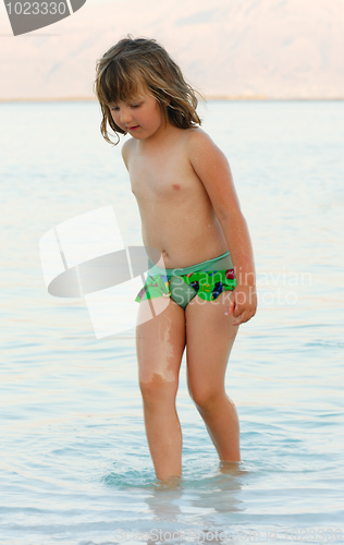 Image of Swimming in the Dead Sea
