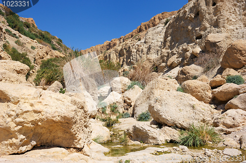 Image of Ein Gedi Nature Reserve off the coast of the Dead Sea