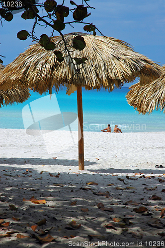 Image of Tropical Beach