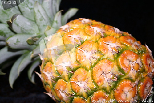 Image of Pineapple