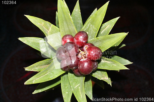 Image of Pineapple with grapes