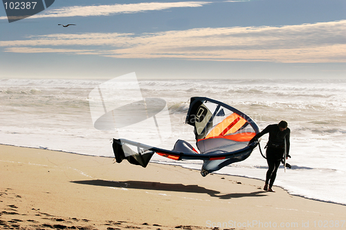 Image of Kite surfer on the beach