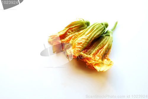 Image of three squash flowers