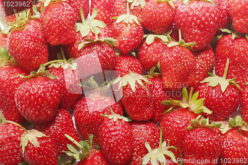 Image of fresh strawberry