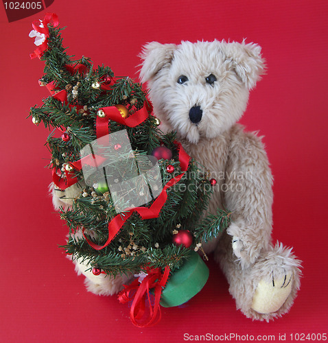 Image of Christmas tree with teddy bear