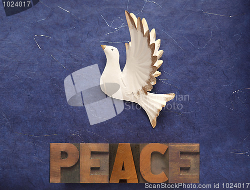 Image of white dove with the word peace