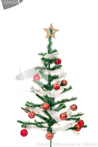 Image of Christmas tree